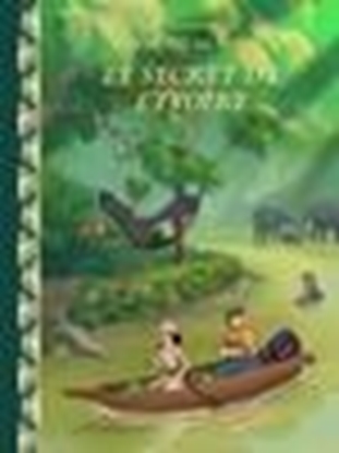 Afbeeldingen van Le secret de l'ivoire