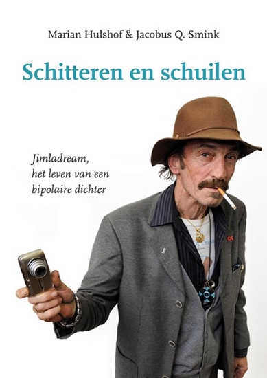 Afbeelding van Schitteren en schuilen