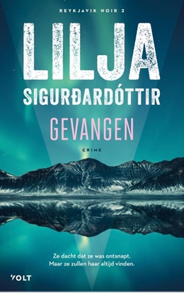 Afbeeldingen van Reykjavik Noir Gevangen