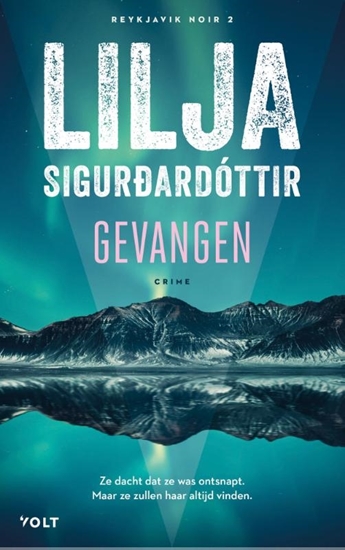 Afbeelding van Reykjavik Noir Gevangen