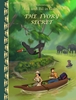 Afbeelding van The Ivory secret