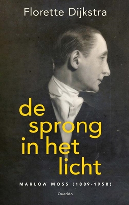 Afbeeldingen van De sprong in het licht