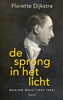 Afbeelding van De sprong in het licht