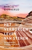 Afbeelding van Het verborgen leven van stenen