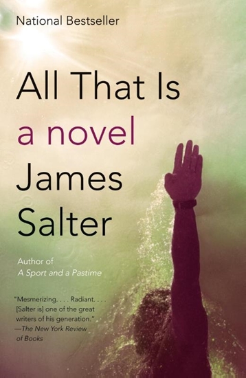 Afbeelding van Vintage International All That Is