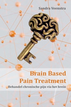 Afbeeldingen van Brain Based Pain Treatment
