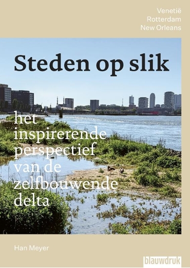 Afbeelding van Steden op slik – het inspirerende perspectief van de zelfbouwende delta