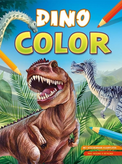 Afbeelding van Dino Color kleurblok / Dino Color Bloc de coloriage