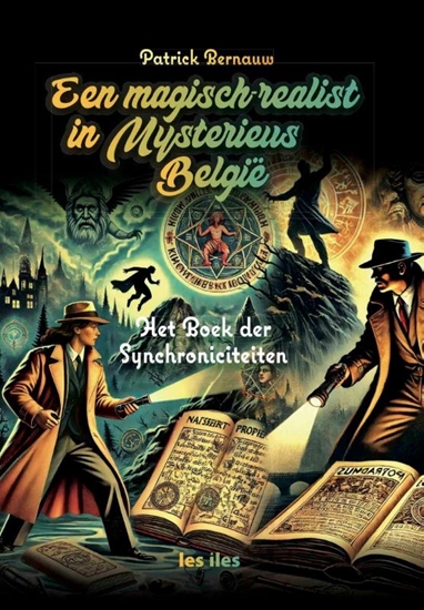 Afbeelding van Een magisch-realist in mysterieus België