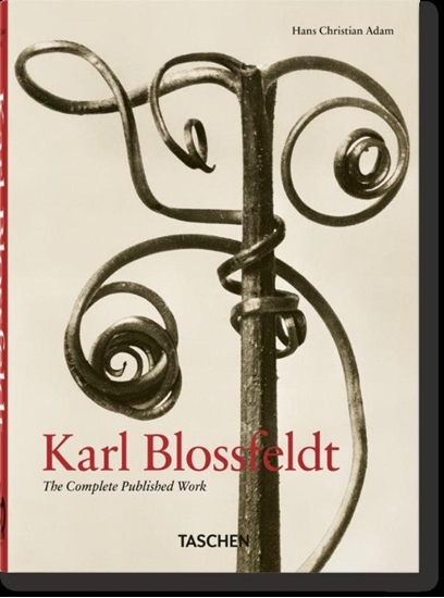 Afbeelding van 45th Edition Karl Blossfeldt. The Complete Published Work. 45th Ed.