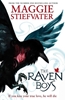 Afbeelding van The Raven Cycle The Raven Boys