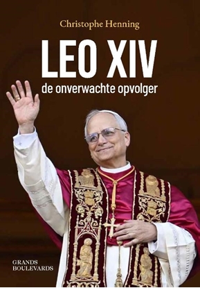 Afbeeldingen van Leo XIV