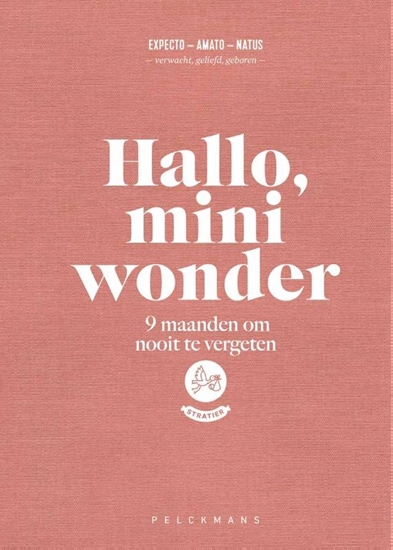 Afbeelding van Hallo, mini wonder