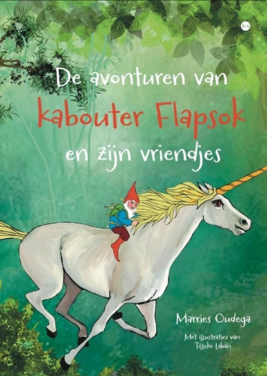 Afbeelding van De avonturen van kabouter Flapsok en zijn vriendjes