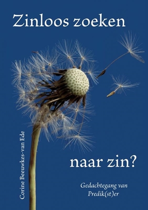 Afbeeldingen van Zinloos zoeken naar zin?
