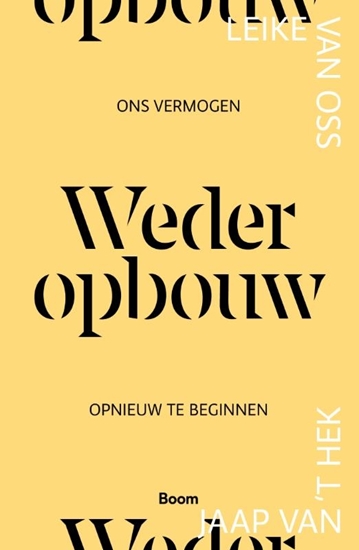 Afbeelding van Wederopbouw