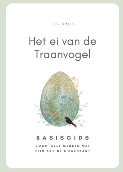 Afbeelding van Het ei van de Traanvogel