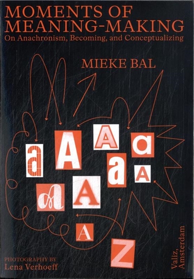 Afbeelding van Moments of Meaning-Making