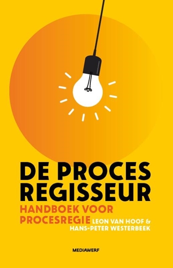 Afbeelding van De procesregisseur
