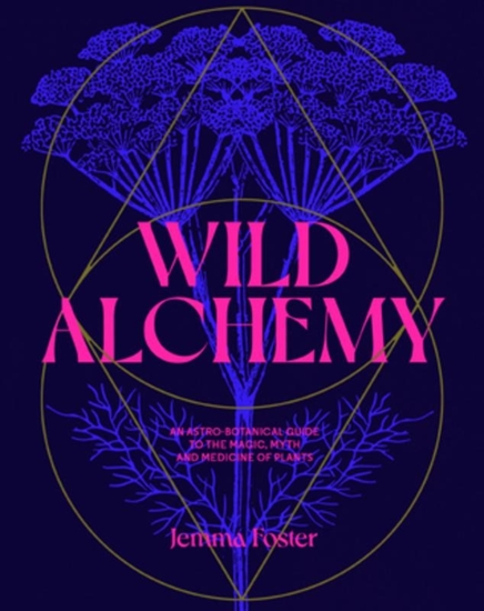 Afbeelding van Foster, J: Wild Alchemy