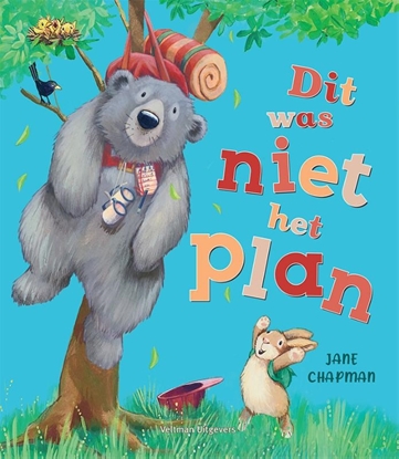 Afbeeldingen van Dit was niet het plan