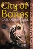 Afbeelding van The Mortal Instruments City of Bones