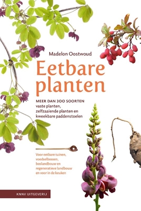Afbeeldingen van Eetbare planten