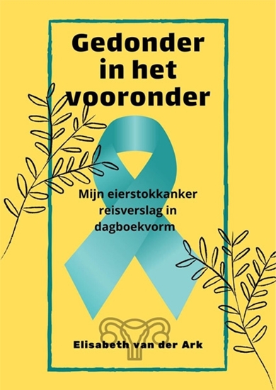 Afbeelding van Gedonder in het vooronder