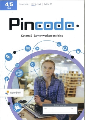 Afbeeldingen van Pincode 4/5 havo katern 5 Samenwerken en risico FLEX boek