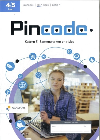 Afbeelding van Pincode 4/5 havo katern 5 Samenwerken en risico FLEX boek