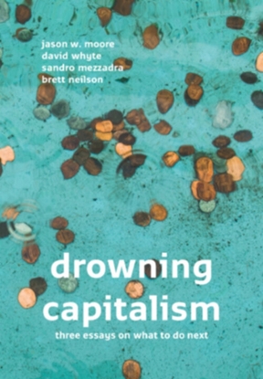 Afbeeldingen van Drowning Capitalism