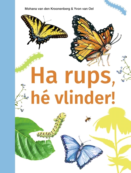 Afbeelding van ik lees informatief Ha rups, hé vlinder!