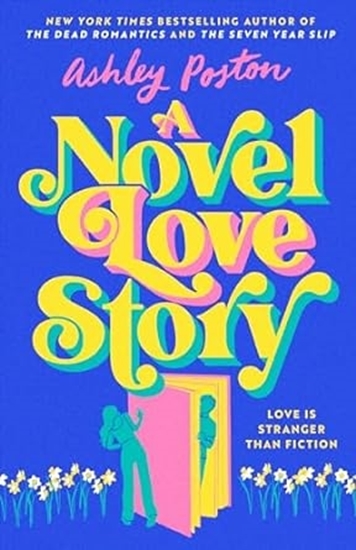 Afbeelding van A Novel Love Story