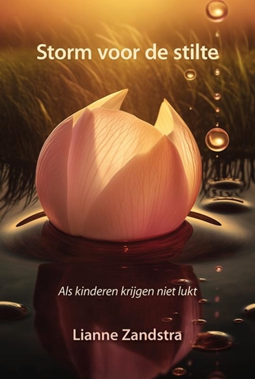 Afbeelding van Storm voor de stilte