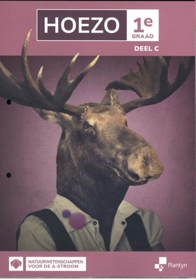 Afbeelding van HOEZO HOEZO 1e graad deel C Leerwerkboek