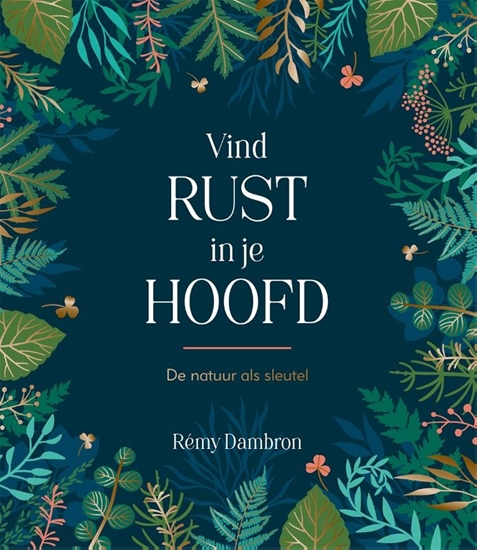 Afbeelding van Vind rust in je hoofd