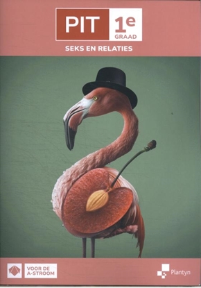 Afbeeldingen van PIT PIT 1e graad Seks en relaties Leerwerkboek