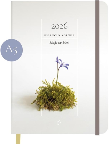 Afbeelding van Essencio Agenda 2026 groot (A5)