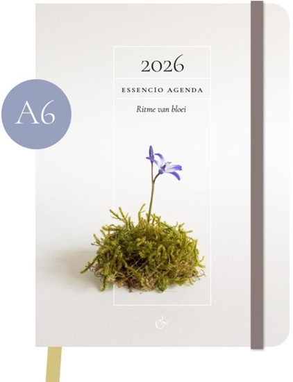 Afbeelding van Essencio Agenda 2026 klein (A6)