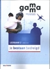 Afbeelding van Gamma leerjaar 2 vmbo-kgt Themaboek