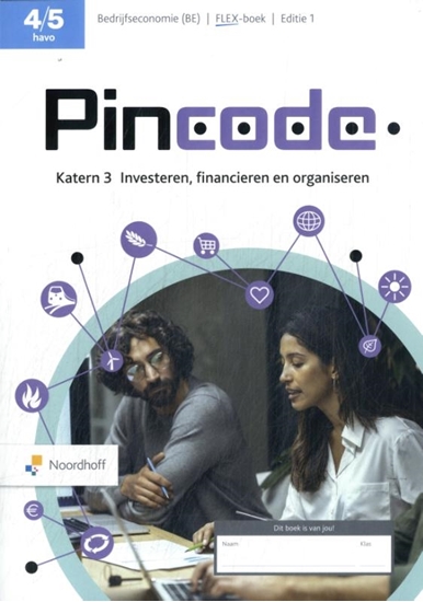 Afbeelding van Pincode 4/5 havo bedrijfseconomie FLEX boek