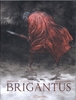Afbeelding van Brigantus Verbannen