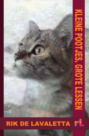 Afbeelding van Kleine pootjes, grote lessen