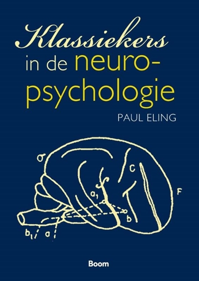 Afbeelding van Klassiekers in de neuropsychologie
