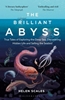 Afbeelding van The Brilliant Abyss