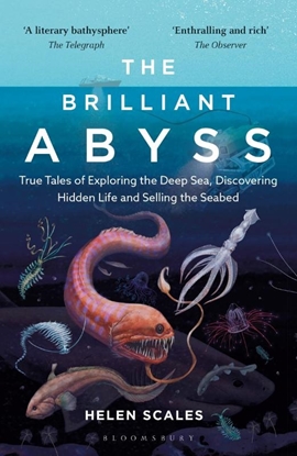 Afbeeldingen van The Brilliant Abyss