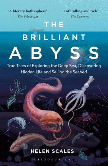 Afbeelding van The Brilliant Abyss