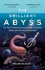 Afbeelding van The Brilliant Abyss