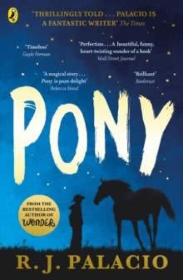 Afbeelding van Pony