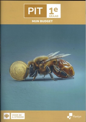 Afbeeldingen van PIT PIT 1e graad Mijn budget Leerwerkboek